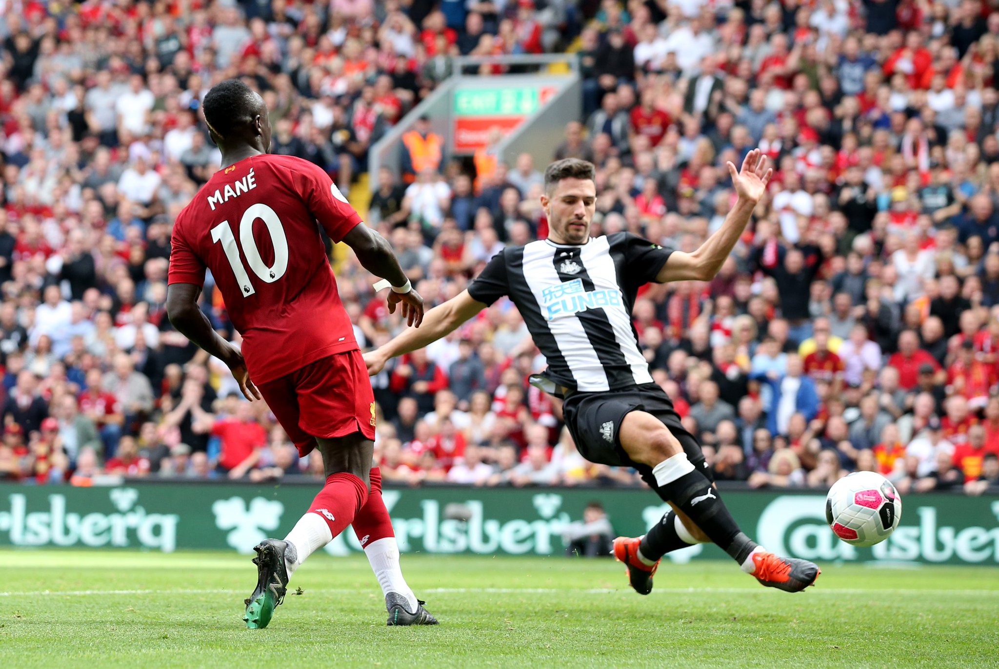 是其中的佼 是其中的佼